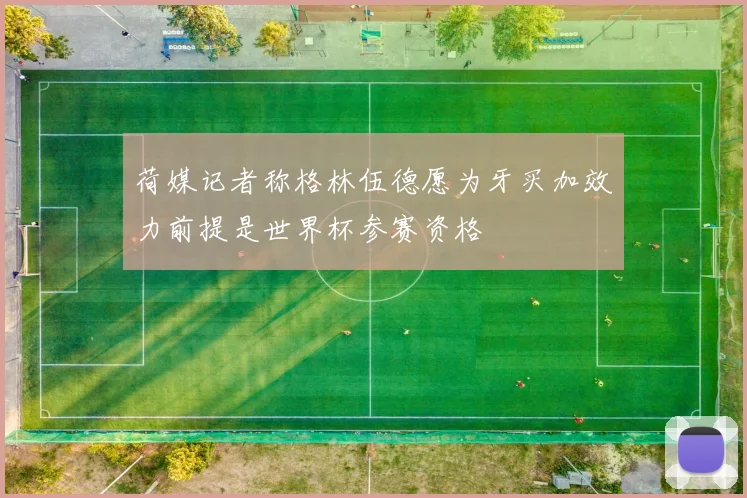 荷媒记者称格林伍德愿为牙买加效力前提是世界杯参赛资格