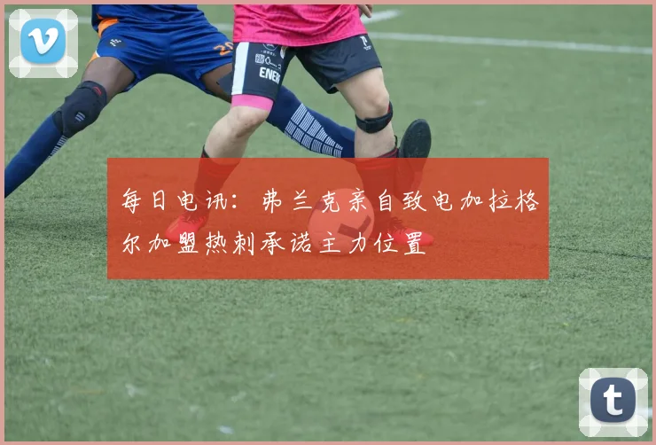 每日电讯：弗兰克亲自致电加拉格尔加盟热刺承诺主力位置