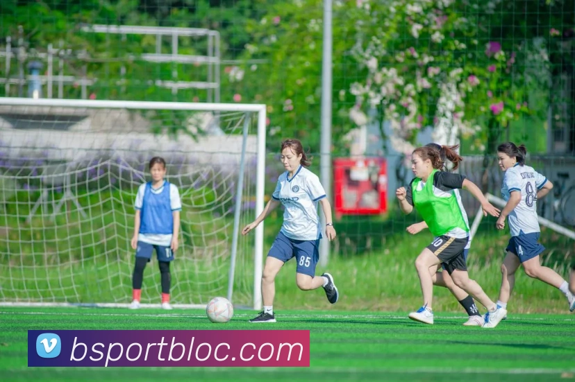 B体育APP 封面图